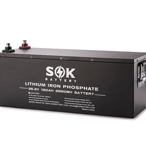 SOK Battery 24v 100ah LiFePO4 Battery