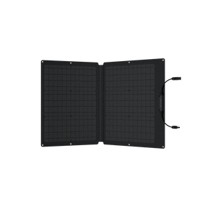 EcoFlow 60W Portable Solar Panel | High-Efficiency Charging | Lightweight & Durable